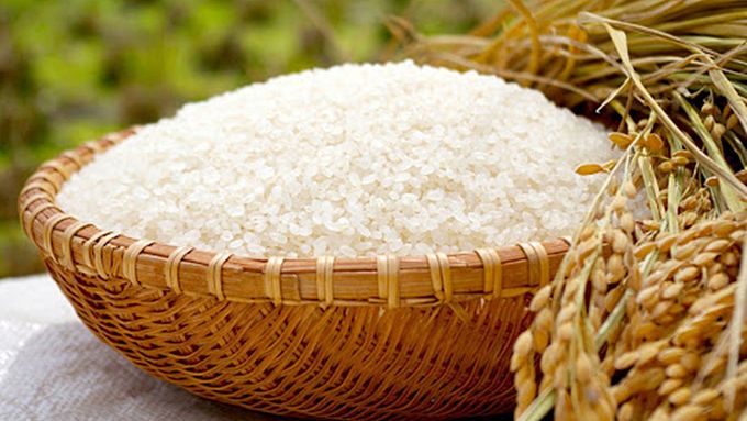 Giá lúa gạo hôm nay 3/3/2025: Đồng loạt đi ngang