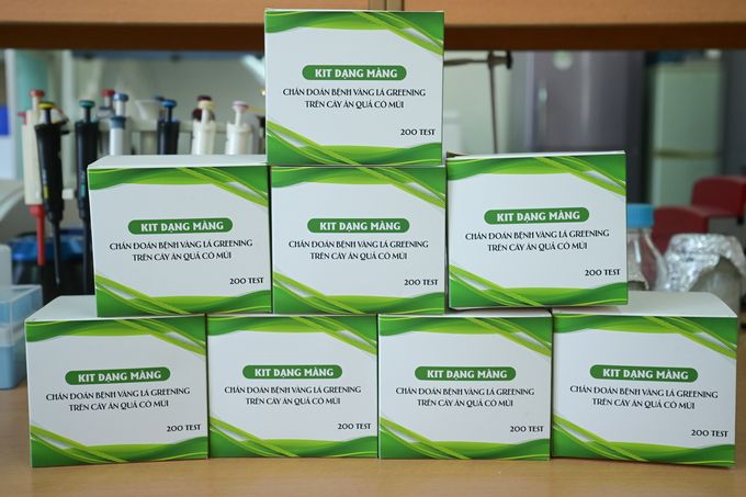 Quá trình cho ra đời giống cây có múi sạch bệnh