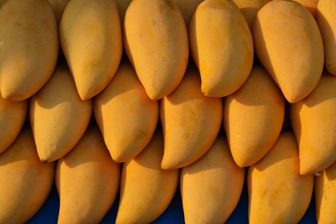 Xuất khẩu xoài Thái Lan sang Hàn Quốc tăng 132,7%