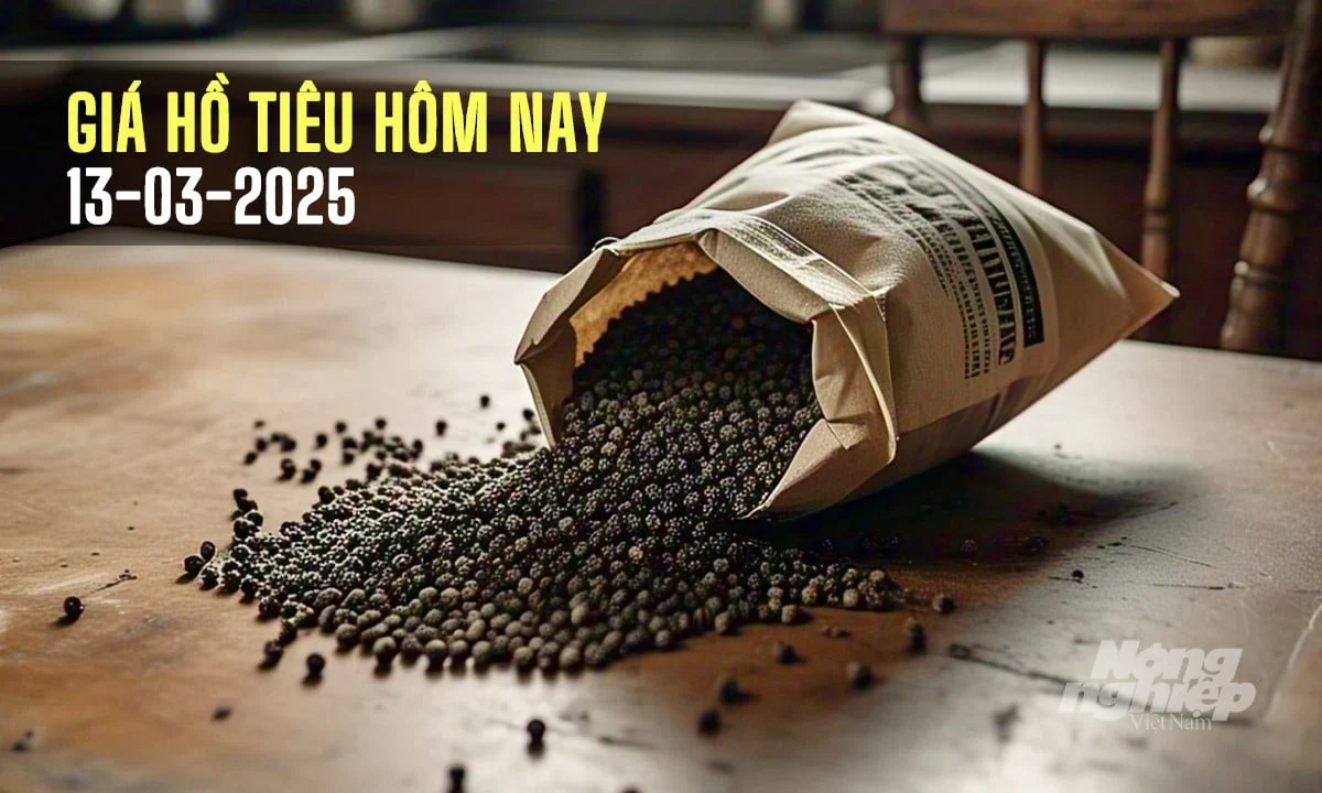 Giá tiêu hôm nay 13/3/2025: Trong nước tăng mạnh
