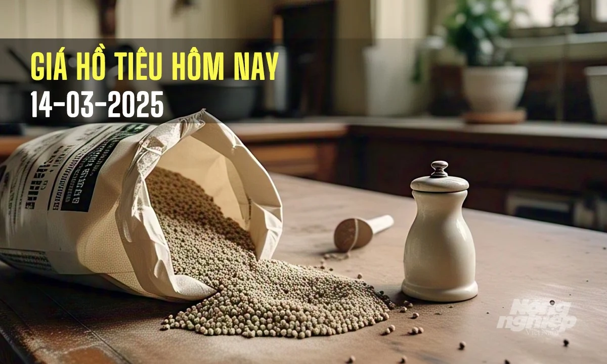 Giá tiêu hôm nay 14/3/2025: Trong nước vẫn đang tăng