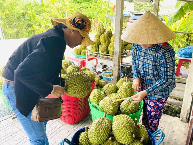 Chất vàng Ô có được dùng để bảo quản nông sản?