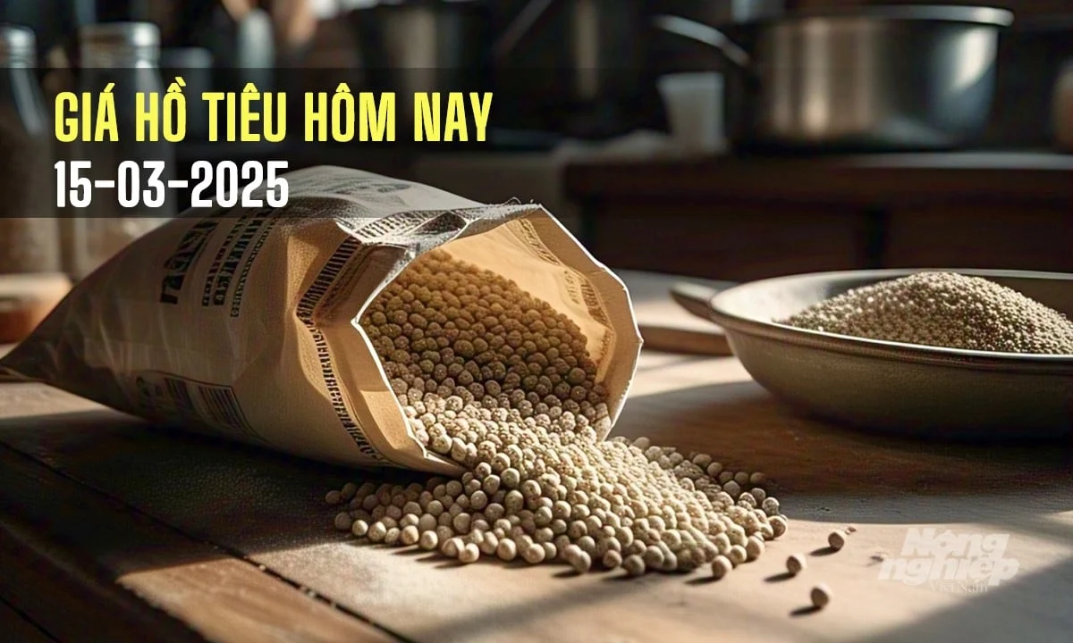 Giá tiêu hôm nay 15/3/2025: Gia Lai vẫn đang tăng nhẹ