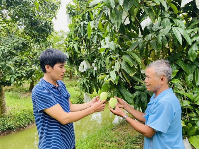 Hợp tác xã là ‘chìa khóa’ tái cơ cấu nông nghiệp