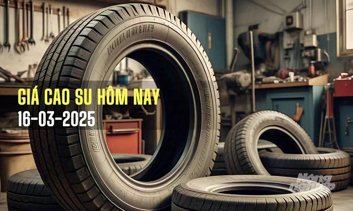 Giá cao su hôm nay 16/3/2025: Tuần này thế giới giảm mạnh