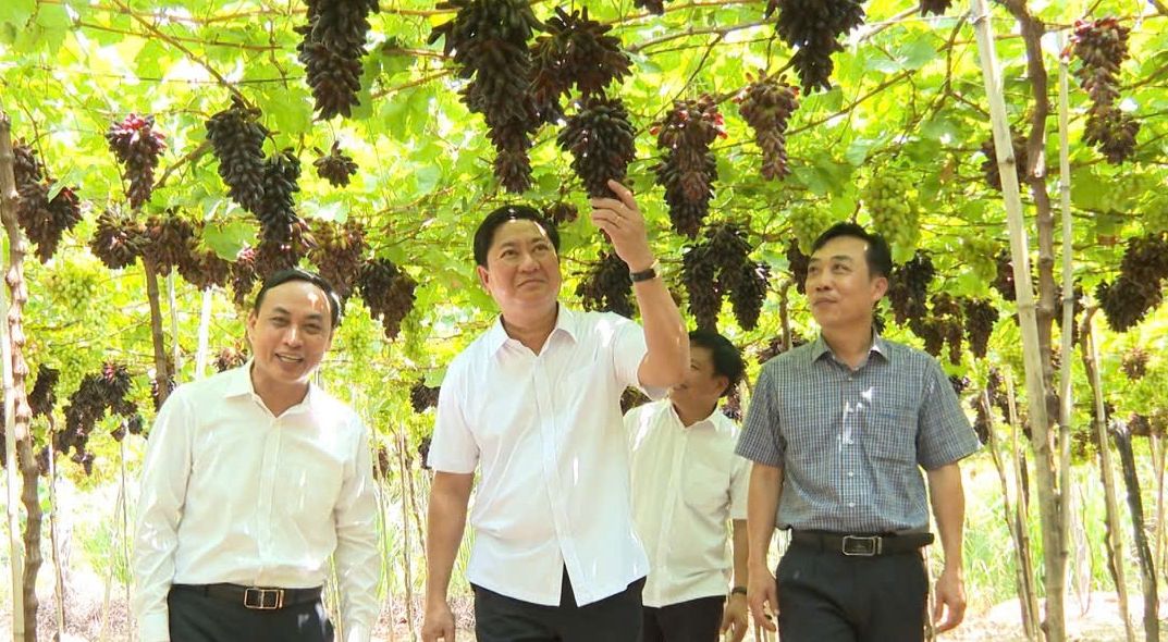 Tiến sỹ Phan Công Kiên: Quyết định 517 của Thủ tướng tạo đà cho nông dân làm ra 