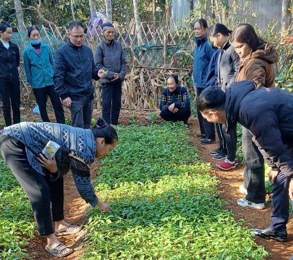 Lạng Sơn: Hỗ trợ chuyển đổi cây thuốc lá sang trồng ớt