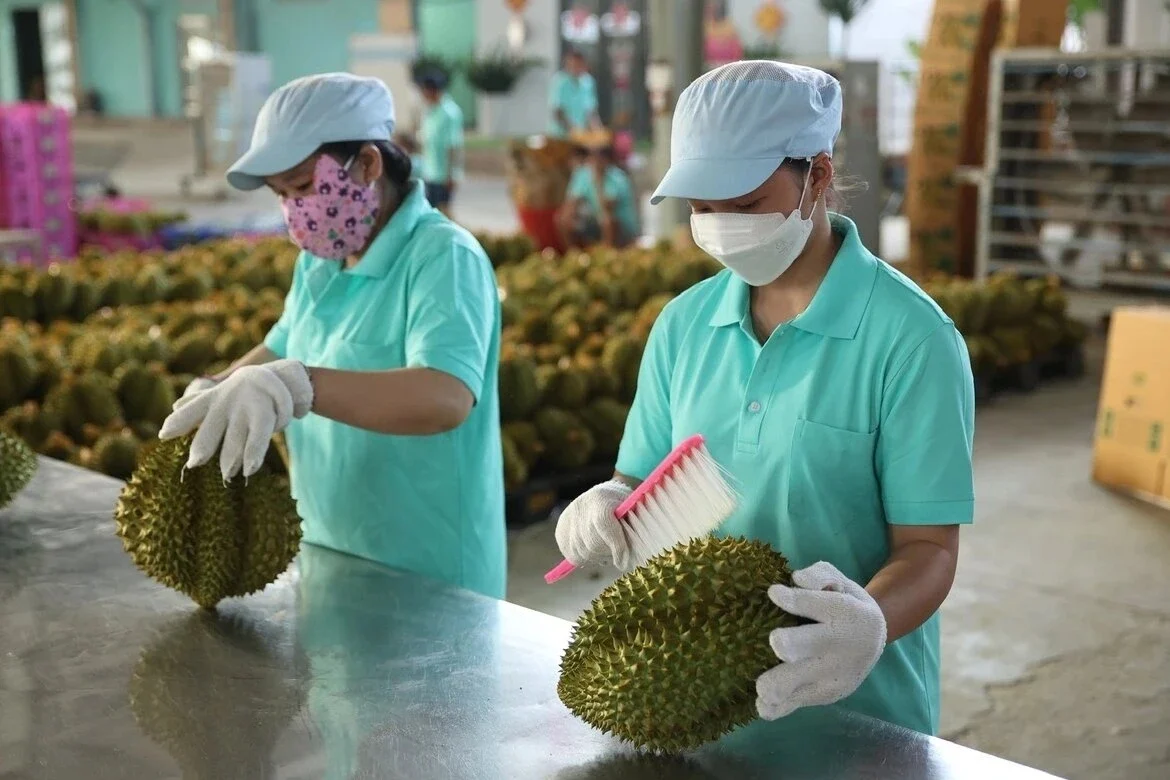 Việt Nam xuất khẩu chính ngạch ớt, chanh leo, tổ yến, cám gạo sang Trung Quốc