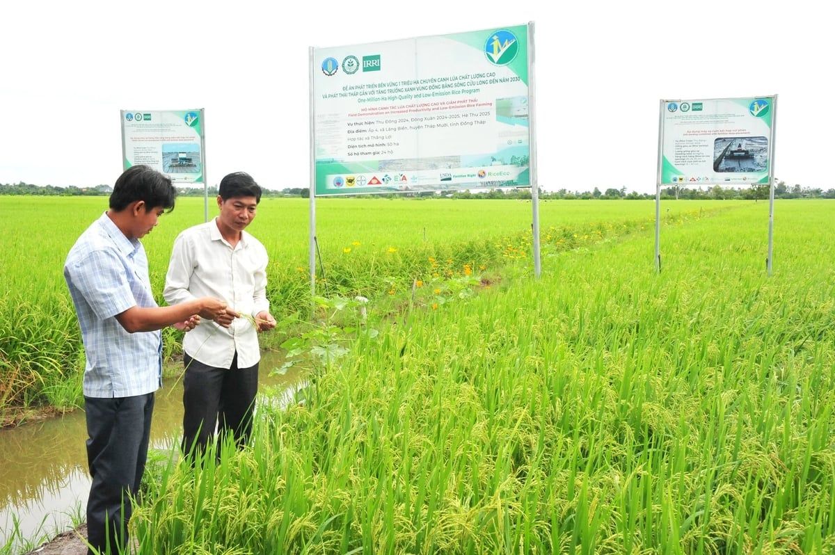 Việt Nam trên hành trình xanh