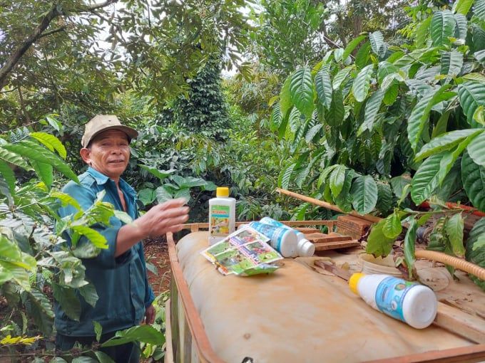 Đại ngàn Tây Nguyên & nỗi đau của đất [Bài 4] 'Thế giới ngầm' trong lĩnh vực kinh doanh siêu lợi nhuận