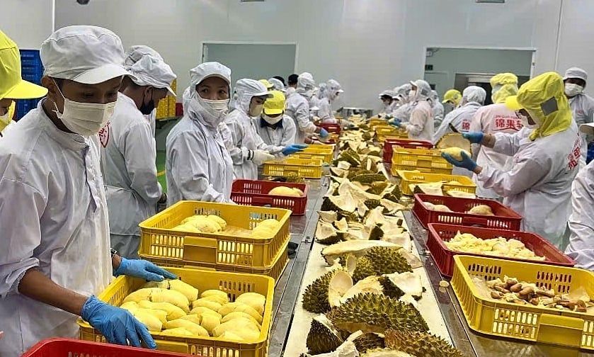 Thị trường nông sản Việt đa kênh, đa hướng: [Bài 1] Thế trận toàn cầu