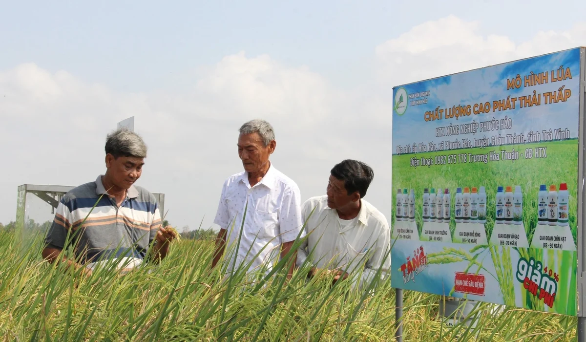 Tổ khuyến nông cộng đồng 'gần dân, sát ruộng, am hiểu thực tiễn'