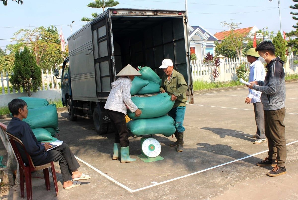 Ninh Bình: Bệnh đạo ôn tăng hơn năm trước