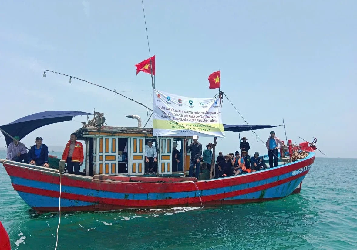 Ngăn chặn khai thác rong mơ kiểu tận diệt