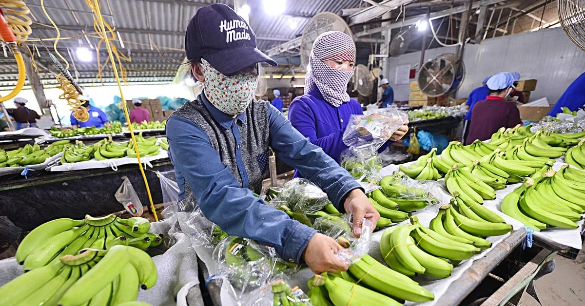 Nông sản giữ vai trụ cột xuất khẩu trong 4 tháng đầu năm