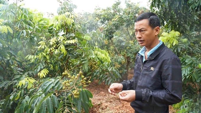 Nâng cấp 'hộ chiếu' xuất khẩu nông sản Sơn La