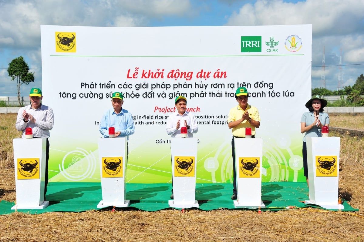 Khởi động dự án áp dụng giải pháp phân hủy rơm rạ trên đồng ruộng