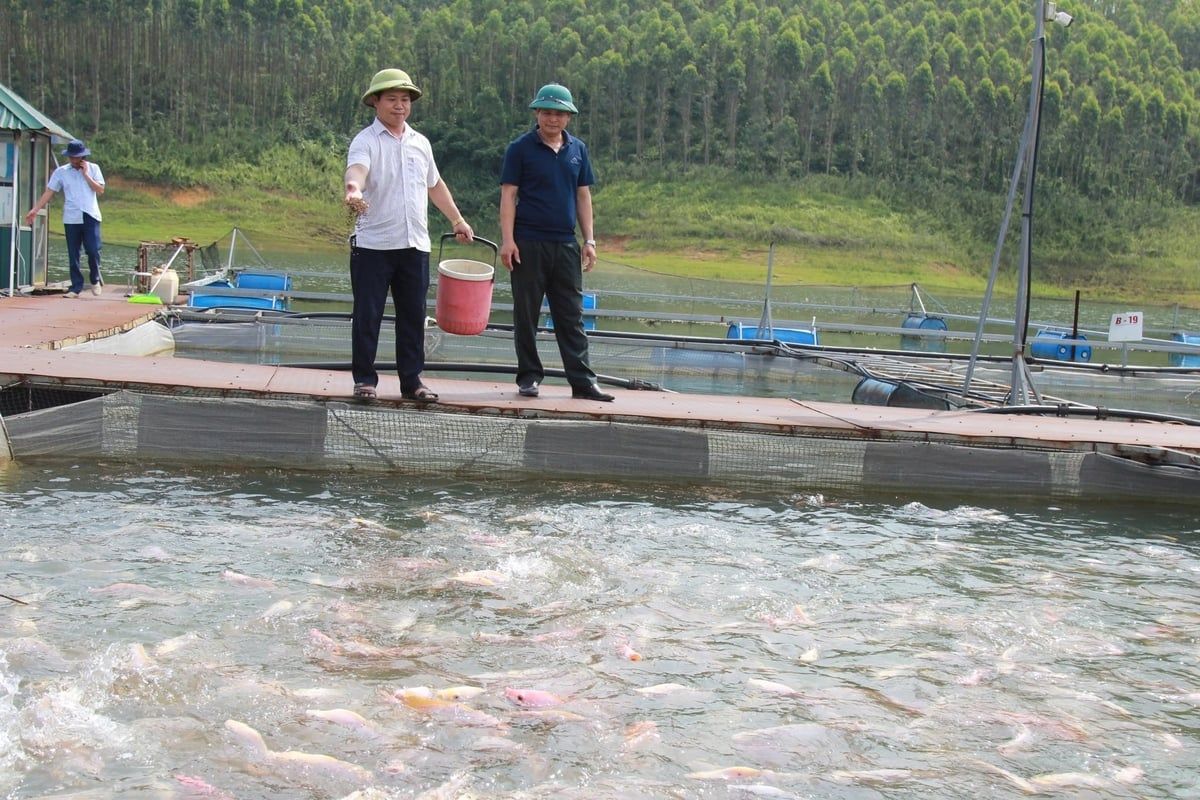 Đặt mục tiêu nuôi trồng, khai thác 9.200 tấn thủy sản vùng hồ Thác Bà