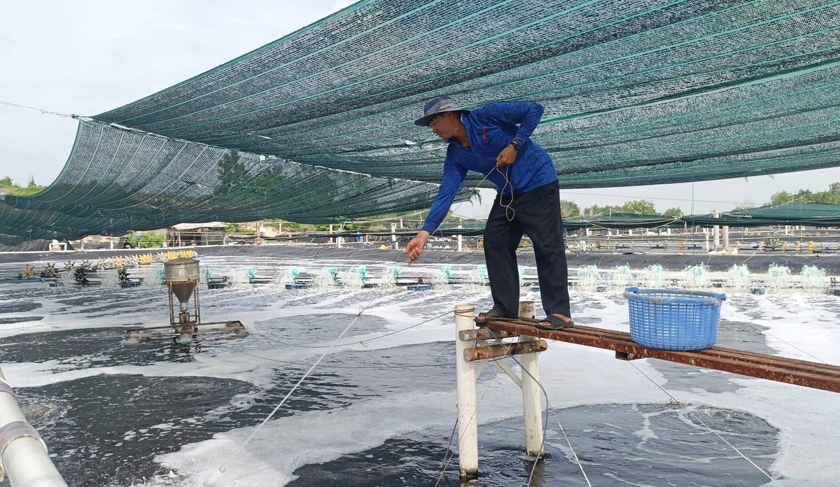 Thách thức xuất khẩu thủy sản: [Bài 2] Chuyển hướng