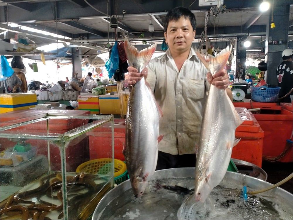 Cá đặc sản ở An Giang xưa bắt dễ như ăn kẹo, nay nuôi to bự thế này, thương lái tự đến 