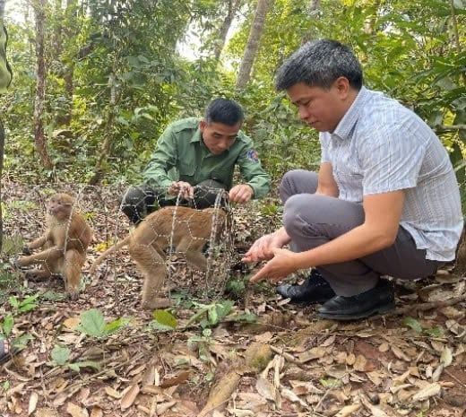Bảo tồn và giữ gìn màu xanh cánh rừng Mường Nhé