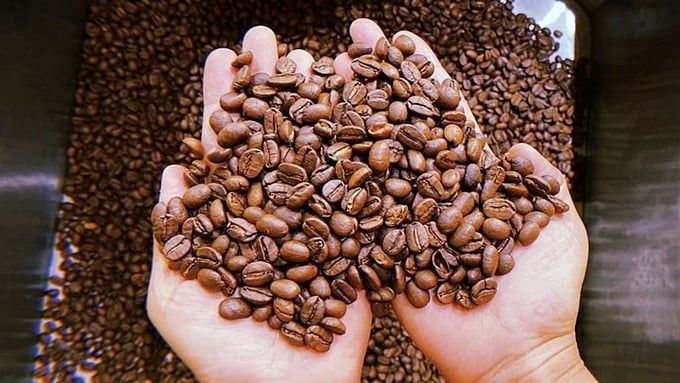 Giá cà phê hôm nay 13/5/2025: Đồng loạt giảm mạnh