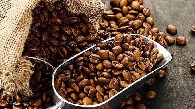 Giá cà phê hôm nay 15/5/2025: Thị trường giảm mạnh