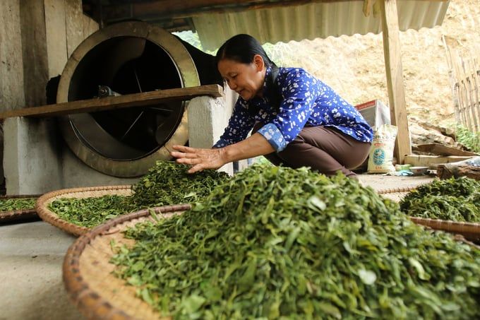 'Vén màn bí ẩn' dự án hỗ trợ sản xuất ở Bắc Kạn: [Bài 3]: Lập, thẩm định dự án 'có vấn đề'