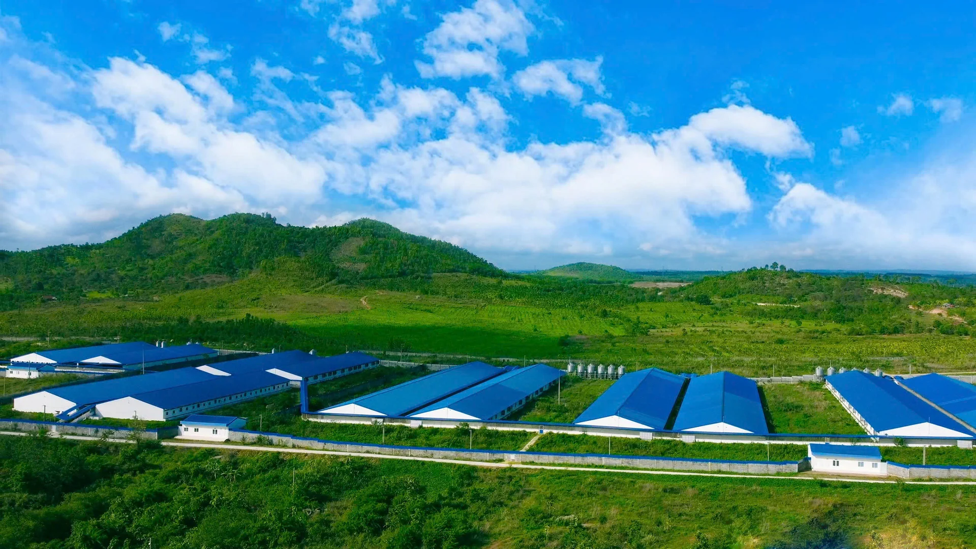 Thị trường nông sản Việt đa kênh, đa hướng: [Bài 8] Cần một chiến lược quốc gia