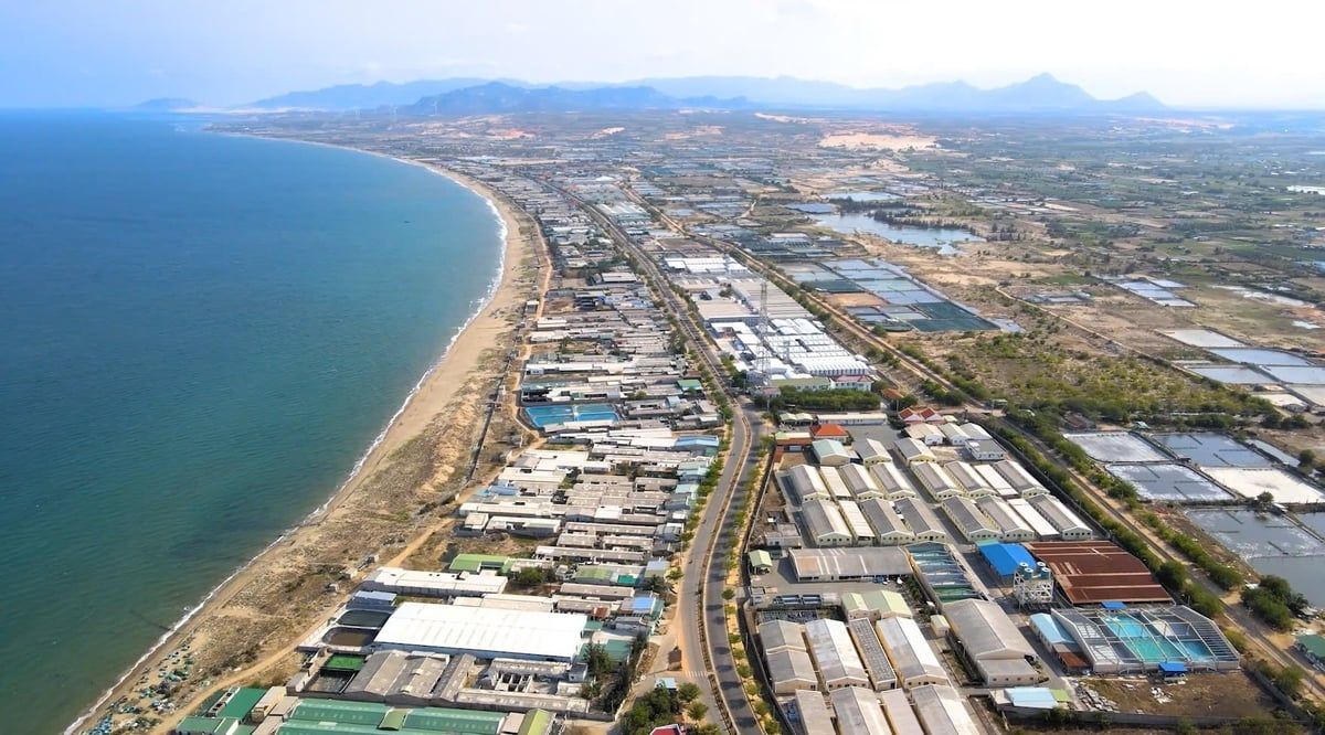 Thủ phủ tôm giống công nghệ cao: [Bài 2] Giữ thương hiệu cho tôm giống