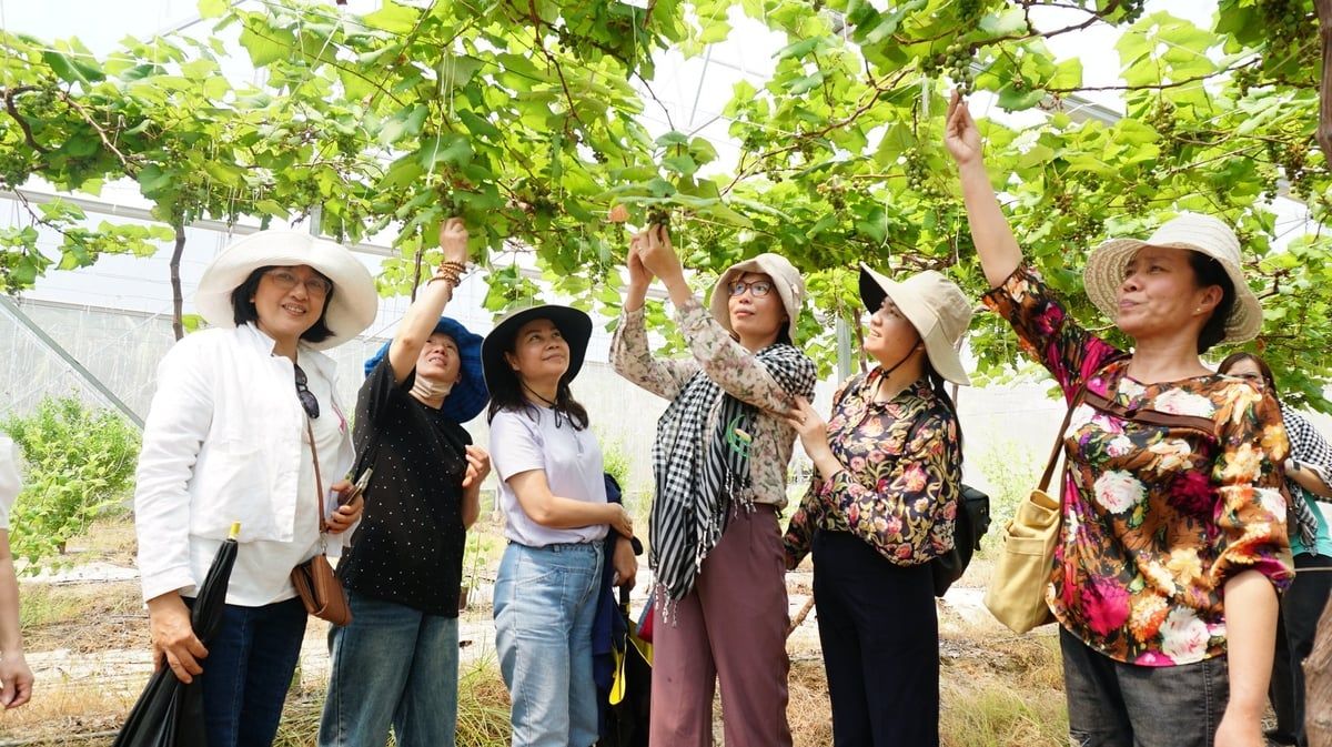 Thủy lợi, mạch nguồn nông nghiệp xanh: [Bài 2] Đẩy 'con thuyền' nông sản giá trị cao