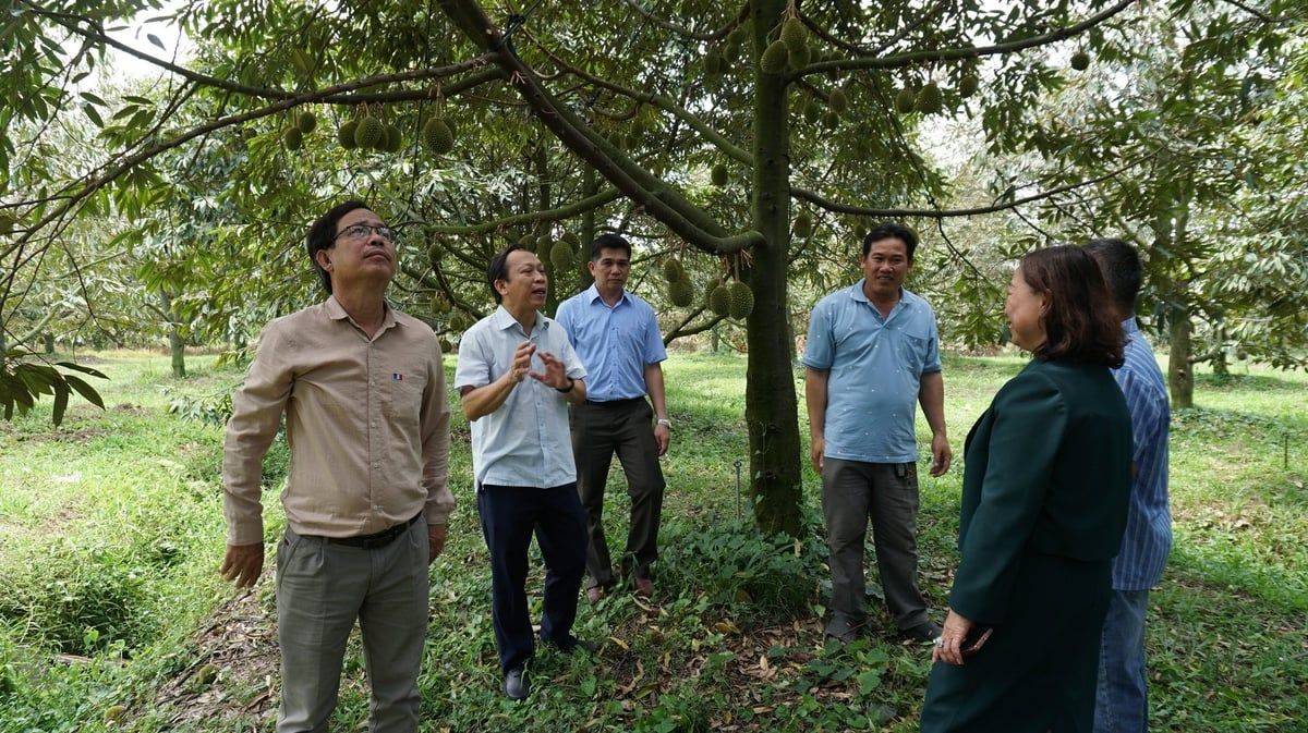 Thủy lợi, mạch nguồn nông nghiệp xanh: [Bài cuối] Tích hợp công nghệ cao