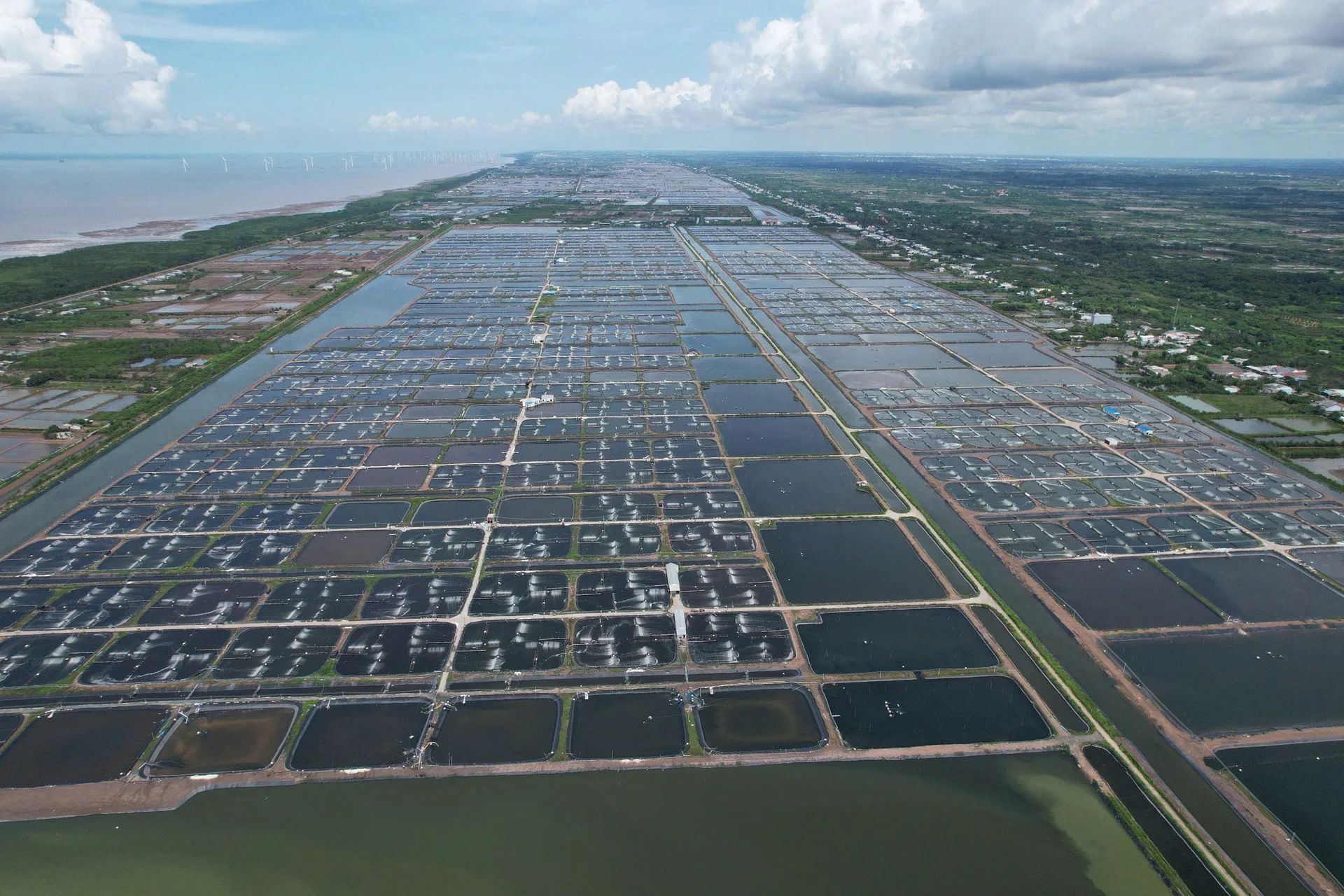 9 kiến nghị phát triển khoa học công nghệ ngành chăn nuôi, thủy sản