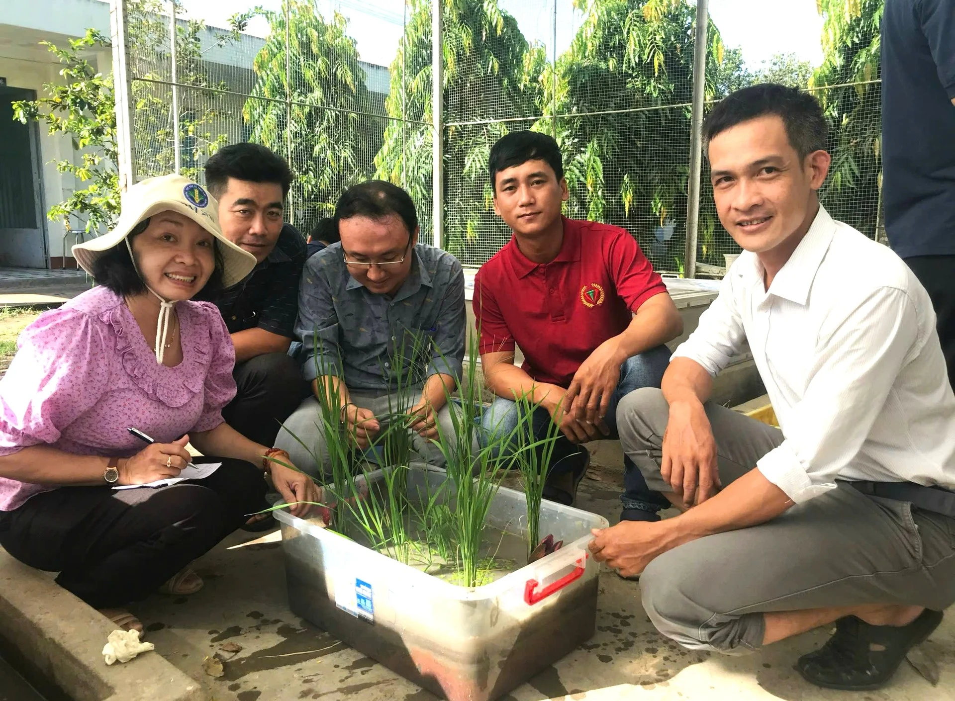 Kiên Giang và mục tiêu 100.000 ha cây trồng ứng dụng IPHM