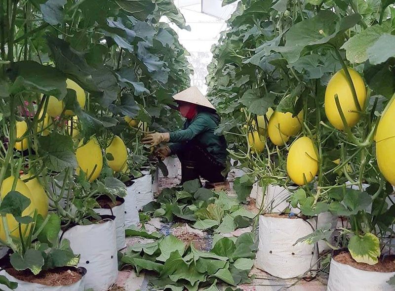 Muốn nông sản sạch, môi trường xanh, nông dân phải tự giám sát chính mình để làm cuộc 