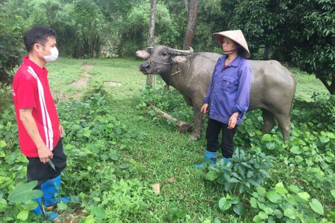 Thú y cơ sở như con bò què chân [Bài 6] Thú y cơ sở, gộp vào rồi lại tách ra