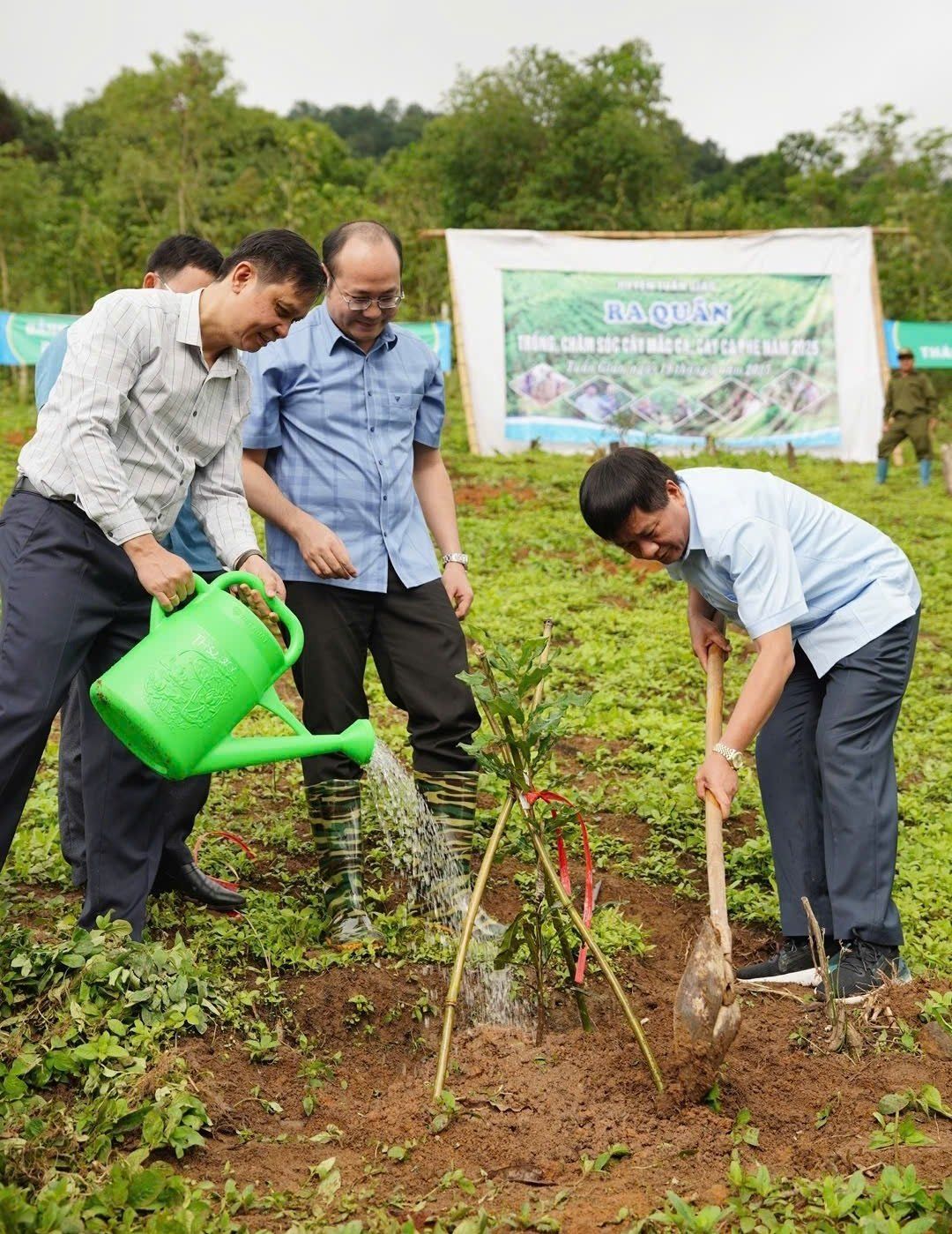 Đánh thức khát vọng thoát nghèo: [Bài 3] Giấc mơ xanh trên đất dốc