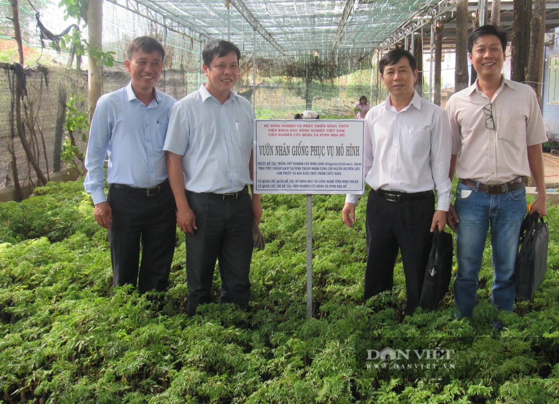 200 ha trồng cây thảo dược quý hiếm ở Ninh Thuận được bao tiêu sản phẩm, đưa vào chương trình du lịch trải nghiệm