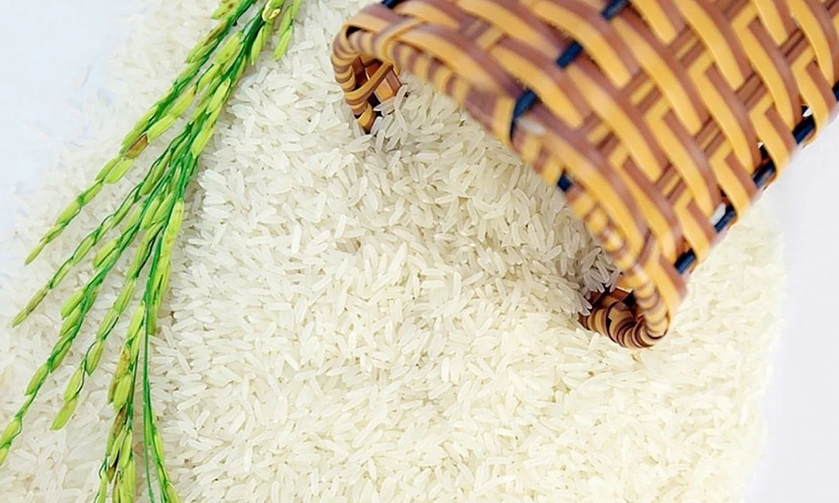 Giá lúa gạo hôm nay 5/6/2025: Tăng giảm trái chiều