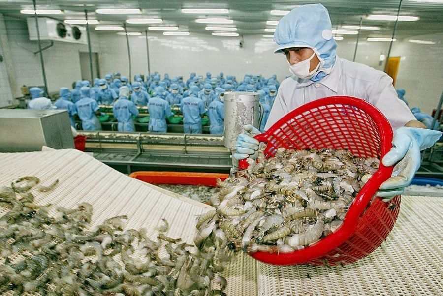 Tôm Việt Nam bị DOC tính thuế chống bán phá giá cao bất thường