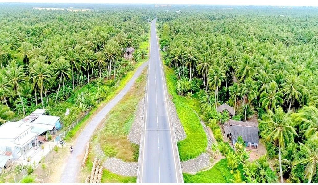 Trà Vinh: Gần 97 ha dừa nhiễm sâu đầu đen