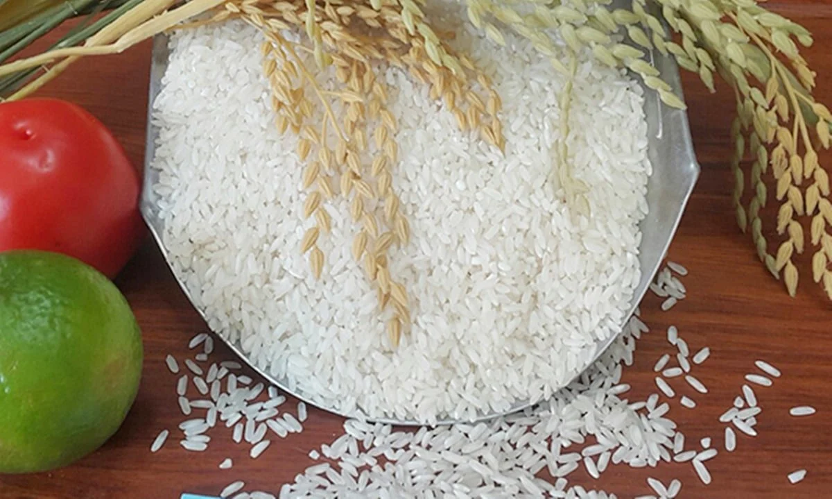 Giá lúa gạo hôm nay 17/6/2025: Gạo nhích nhẹ trở lại