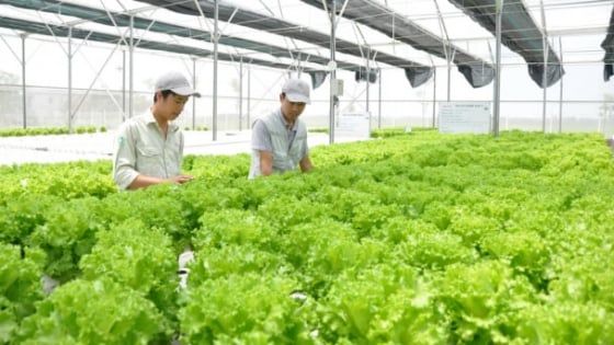 Hà Nội kiện toàn Trung tâm Dịch vụ nông nghiệp