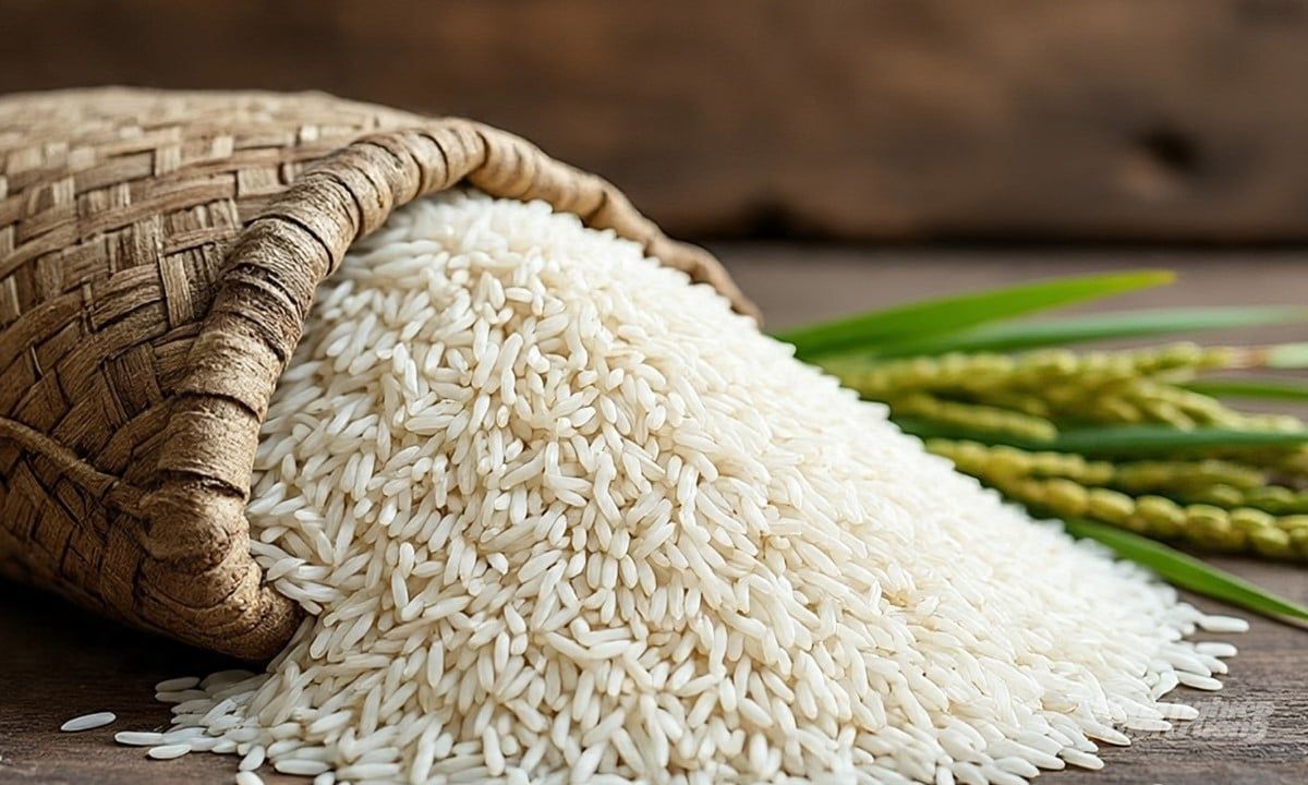 Giá lúa gạo hôm nay 20/7/2025: Gạo xuất khẩu tuần này giảm giá mạnh