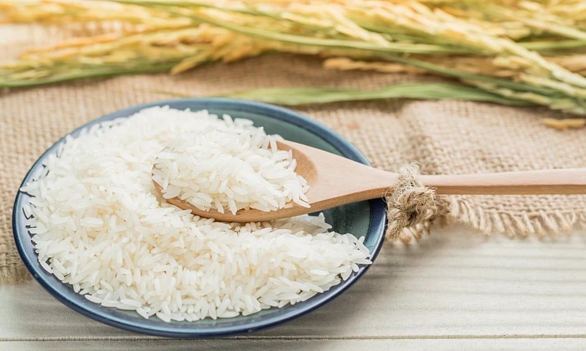 Giá lúa gạo hôm nay 3/9/2025: Thị trường vẫn ổn định