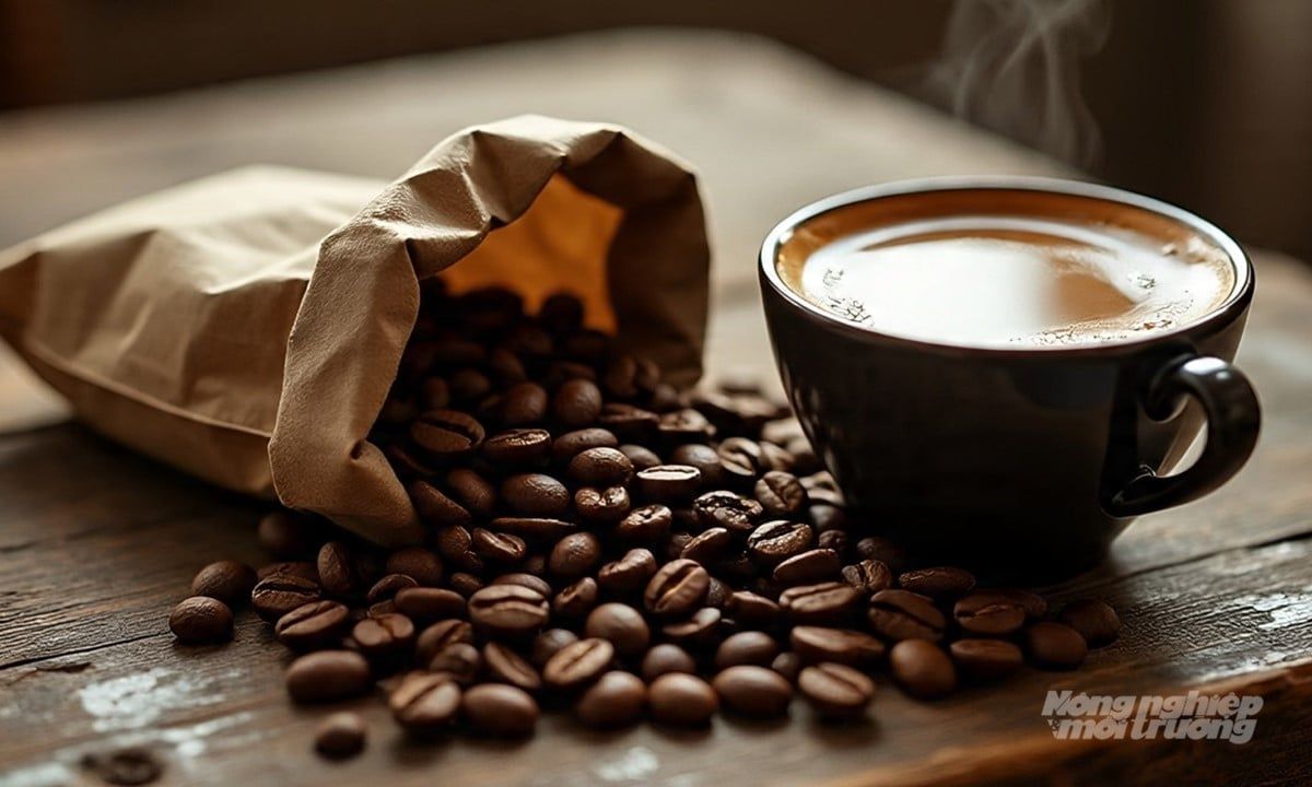 Giá cà phê hôm nay 6/9/2025: Robusta giảm mạnh