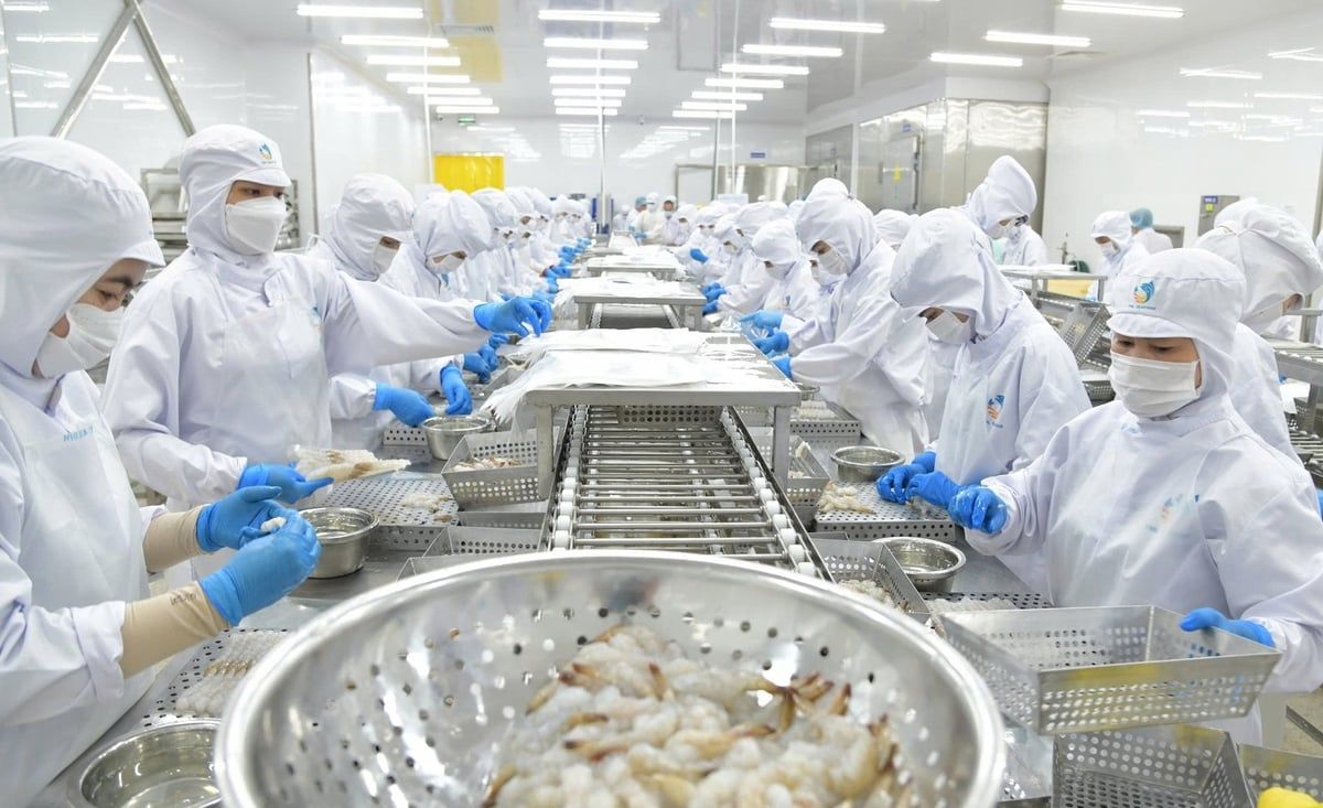 Thủy sản Việt trước ngưỡng cửa EU khắt khe: [Bài 1] Tiềm năng lớn nhưng thị phần nhỏ