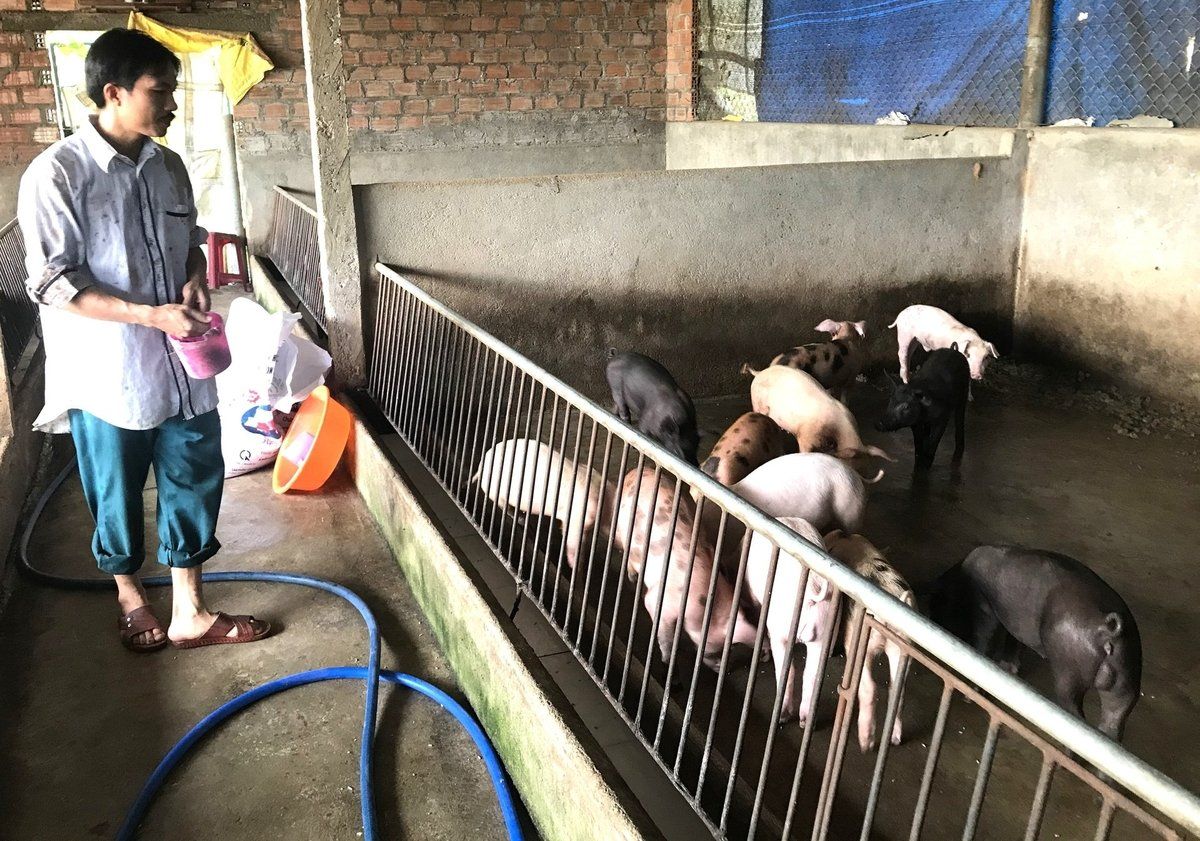 Tái đàn đón thị trường cuối năm: [Bài 1] Gia Lai thận trọng