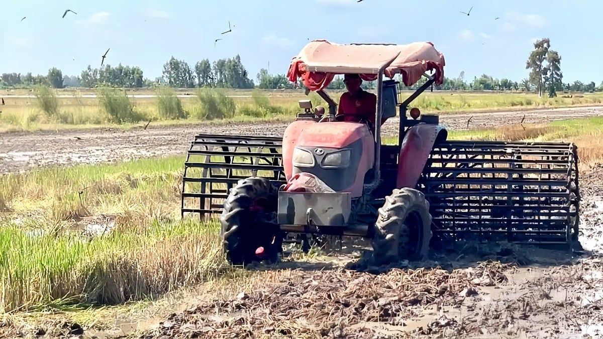 Nông dân đón phù sa, thủy lợi phòng úng ngập