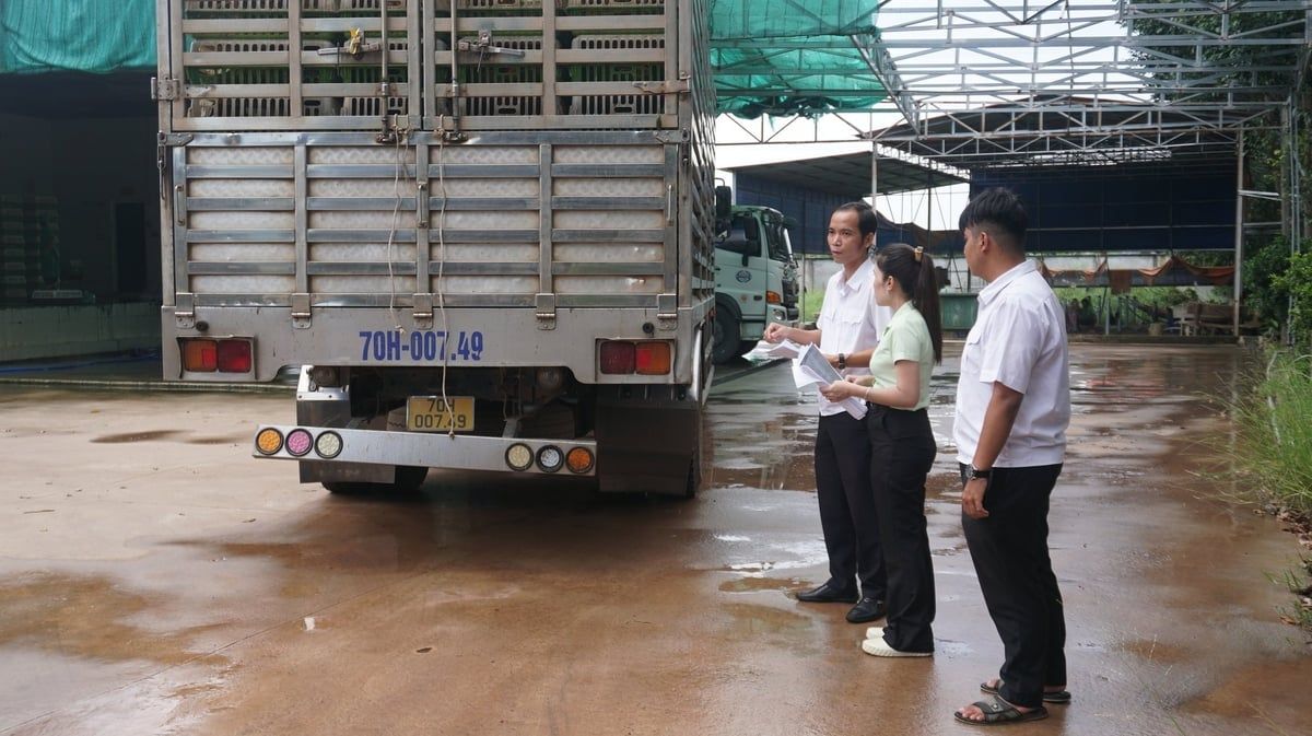 Tây Ninh tổ chức tiêm vaccine đợt 2 năm 2025
